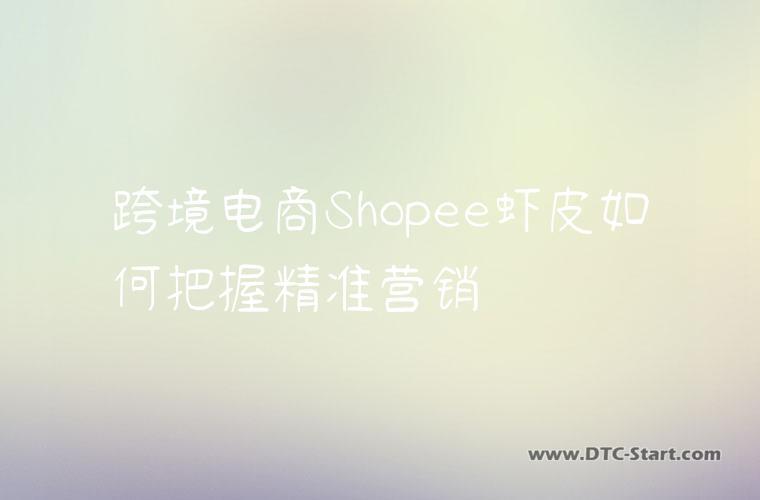 跨境电商Shopee虾皮如何把握精准营销